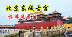 胖女人日比中国北京-东城古宫旅游风景区